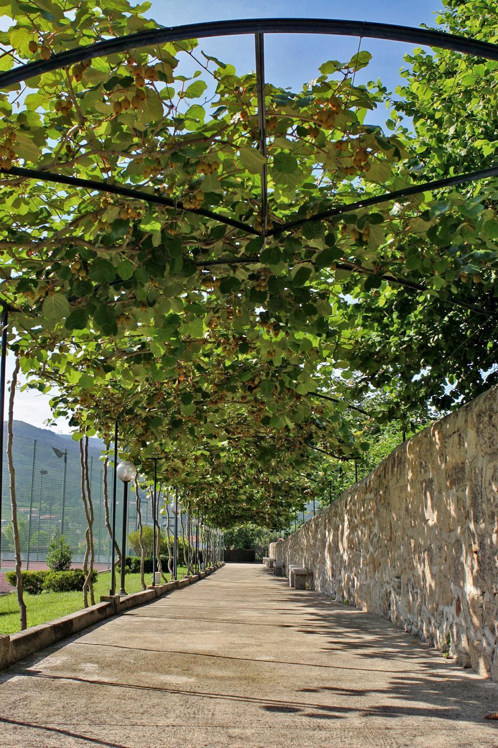 Hotel Boavista I Melgaço Exteriér fotografie